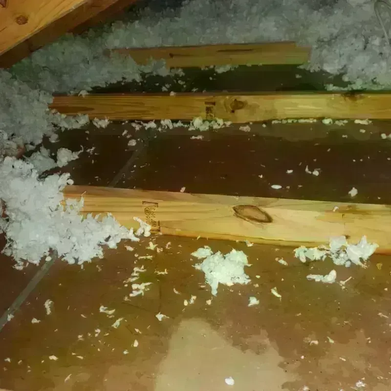 Attic Water Damage in Royalton, PA